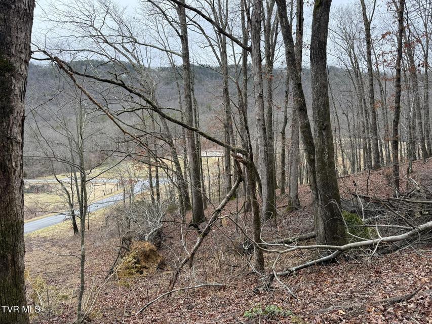 Photo #29: 00 Yuma Road