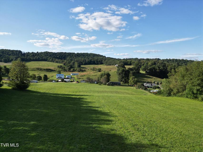 Photo #4: Tbd Reedy Creek Road