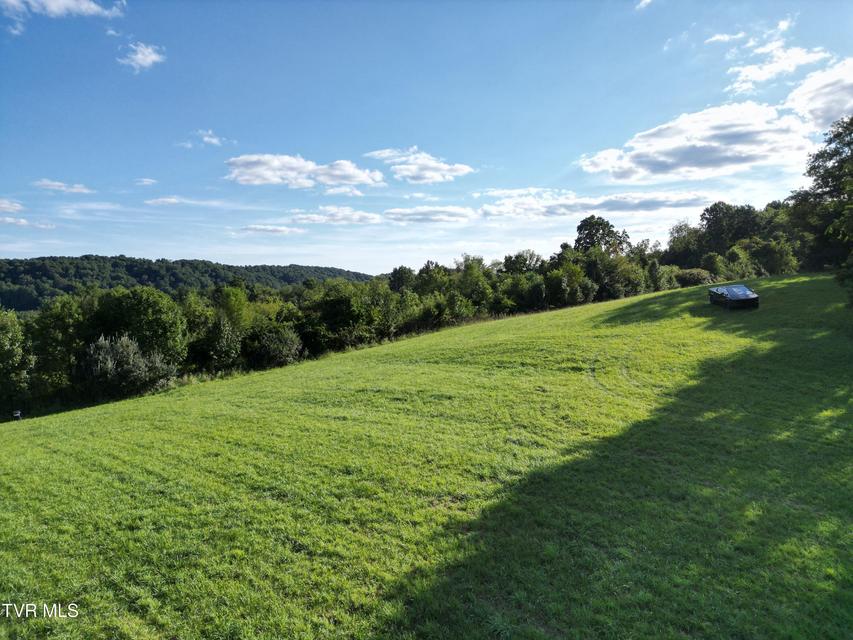 Photo #17: Tbd Reedy Creek Road