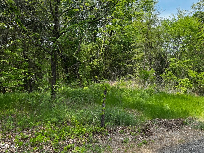 Photo #2: 5.23 Ac Dogwalk Road