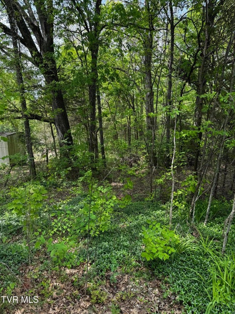 Photo #8: 5.23 Ac Dogwalk Road