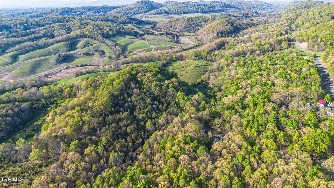 Photo #12: 5.23 Ac Dogwalk Road