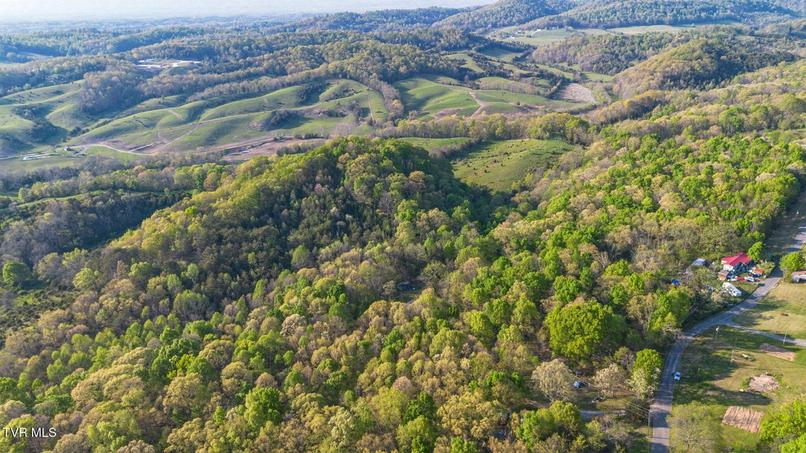 Photo #13: 5.23 Ac Dogwalk Road