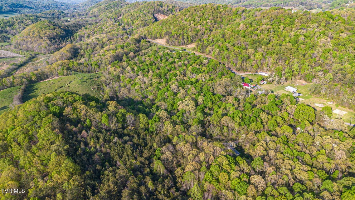 Photo #14: 5.23 Ac Dogwalk Road