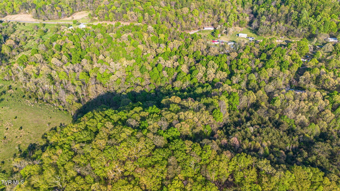 Photo #15: 5.23 Ac Dogwalk Road