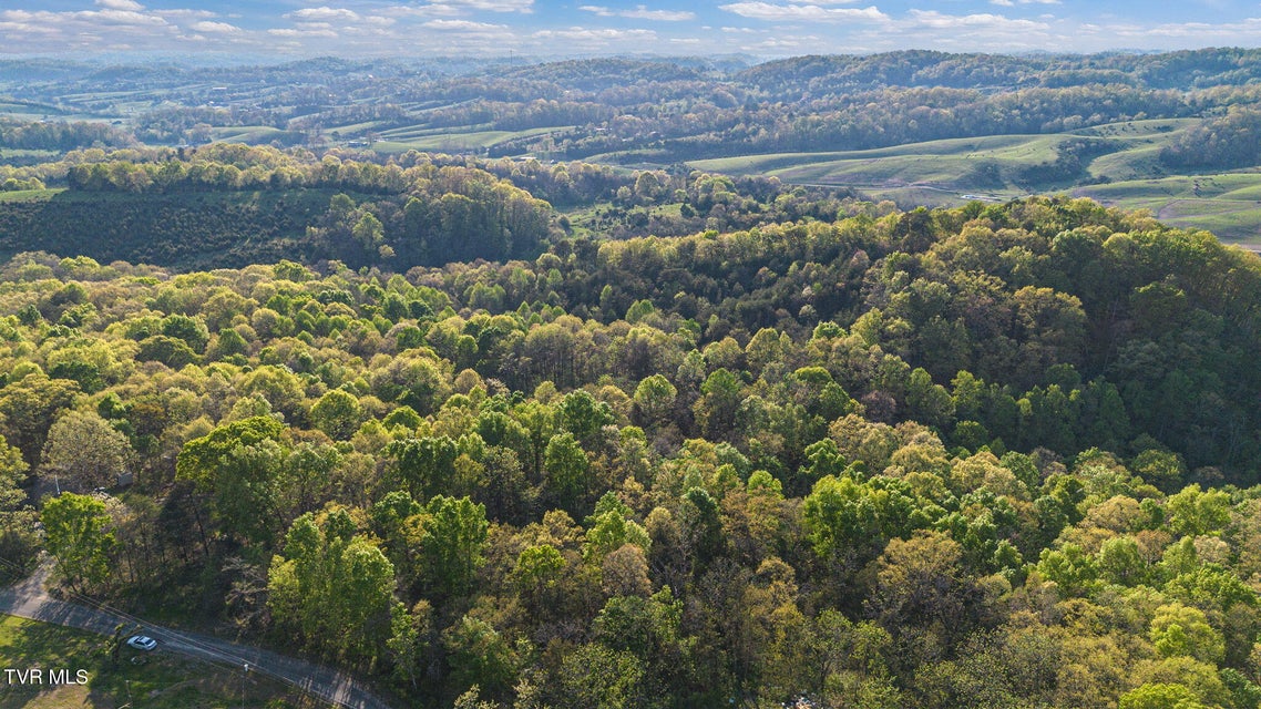 Photo #16: 5.23 Ac Dogwalk Road