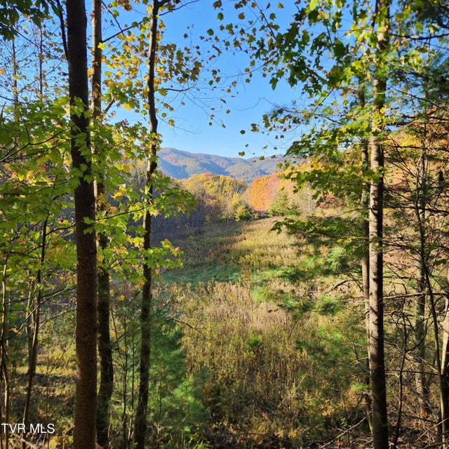 Photo #2: 129 Oaks Road