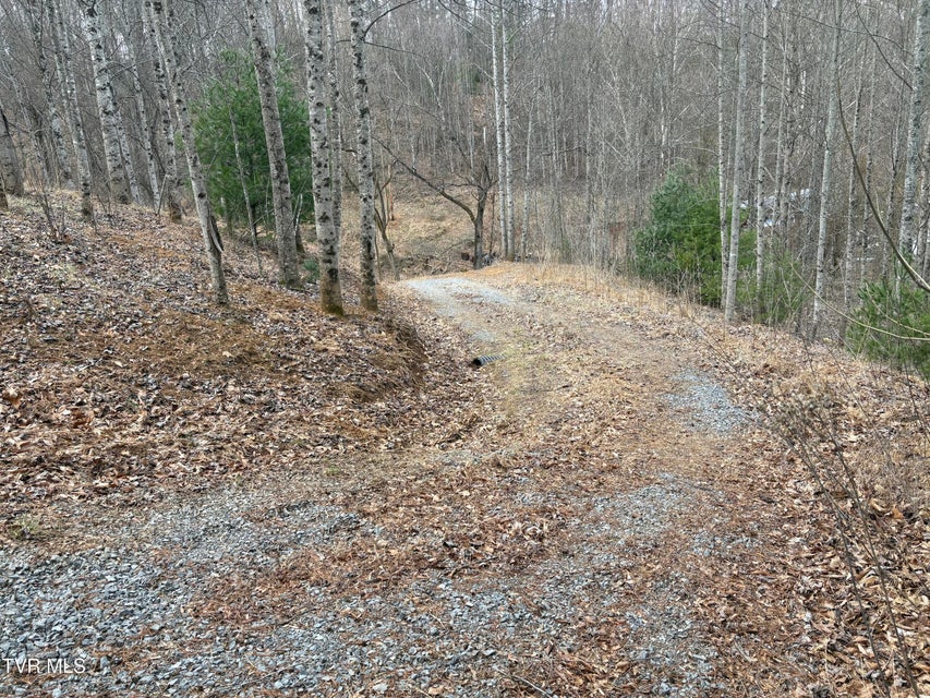 Photo #23: 129 Oaks Road