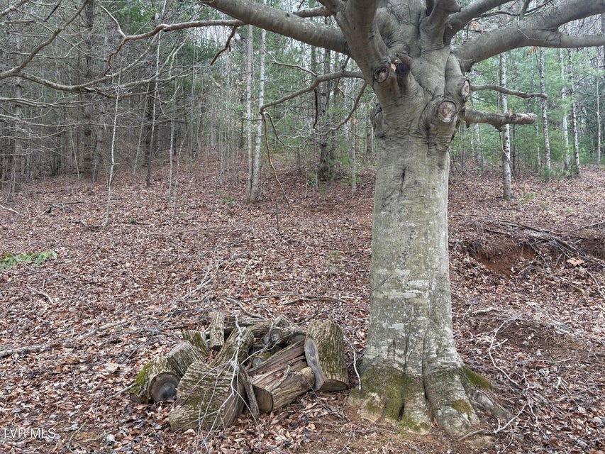 Photo #12: 129 Oaks Road