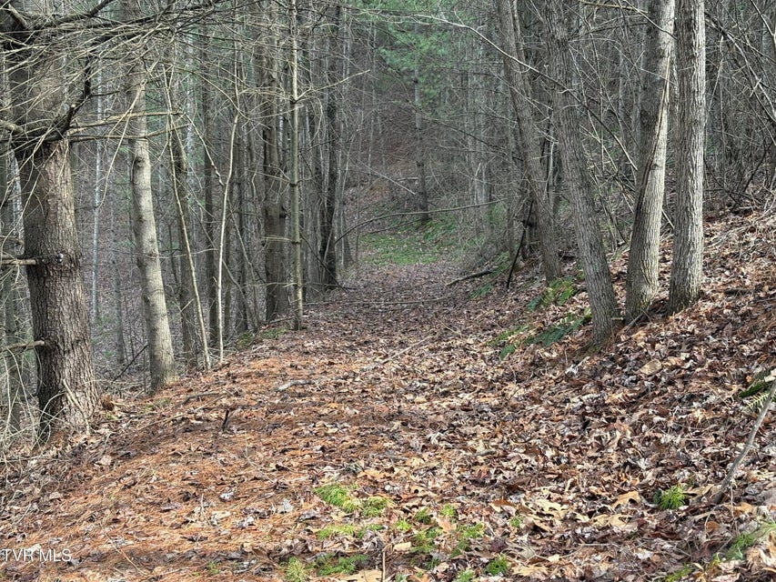 Photo #15: 129 Oaks Road