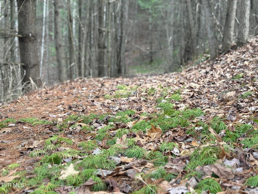 Photo #16: 129 Oaks Road