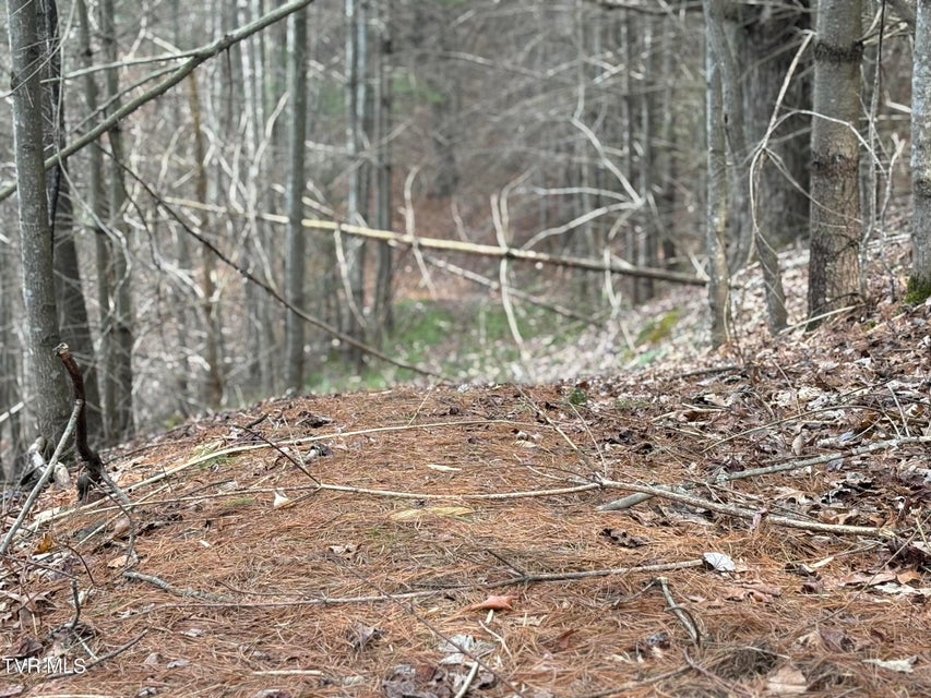 Photo #17: 129 Oaks Road