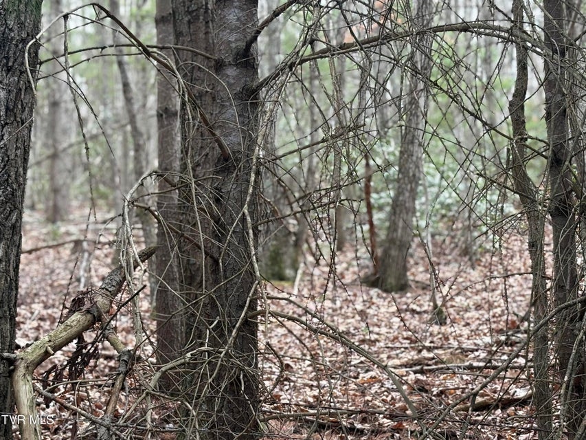 Photo #18: 129 Oaks Road