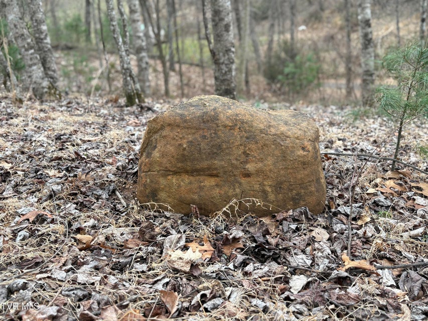 Photo #21: 129 Oaks Road