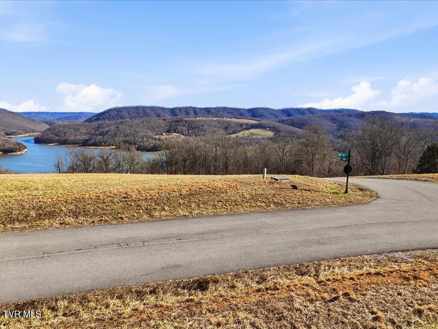 Photo #4: Lot 284 Smokey Quartz Boulevard
