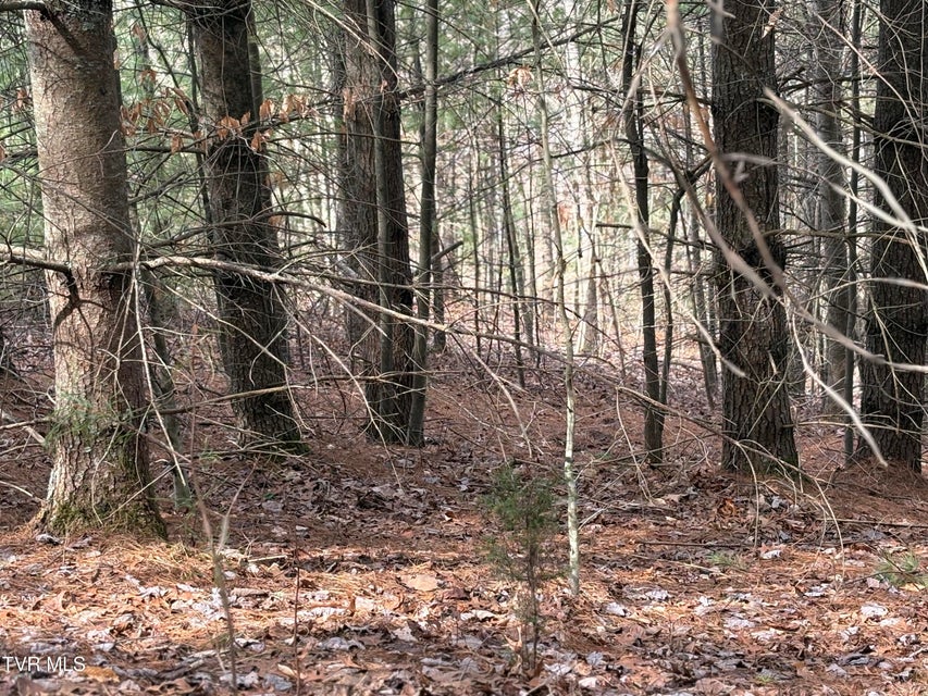 Photo #19: 129 Oaks Road