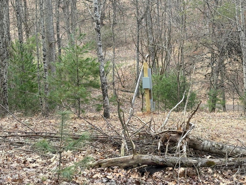 Photo #10: 129 Oaks Road