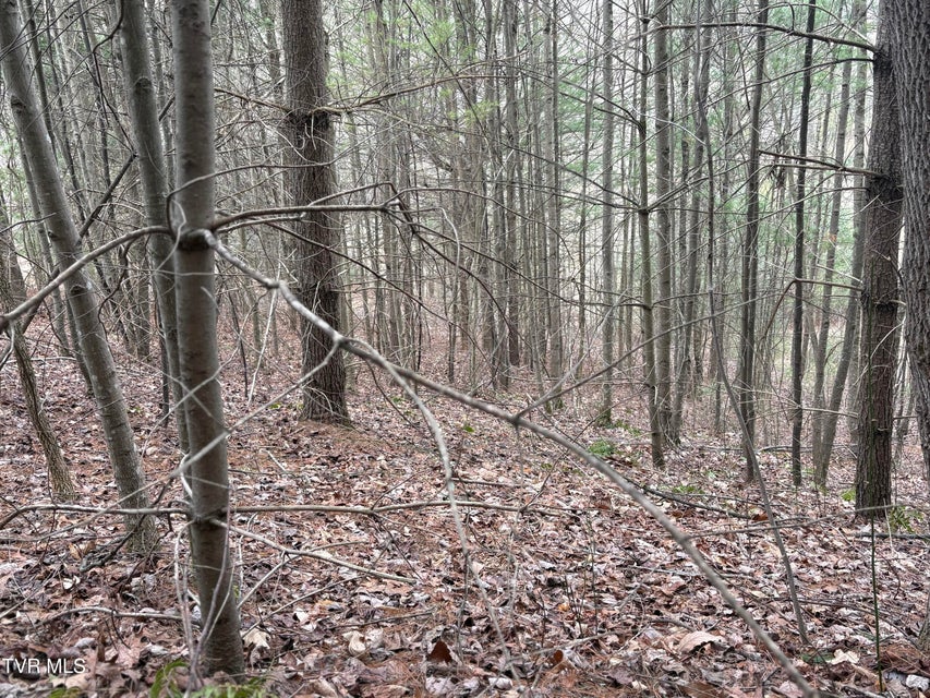 Photo #20: 129 Oaks Road