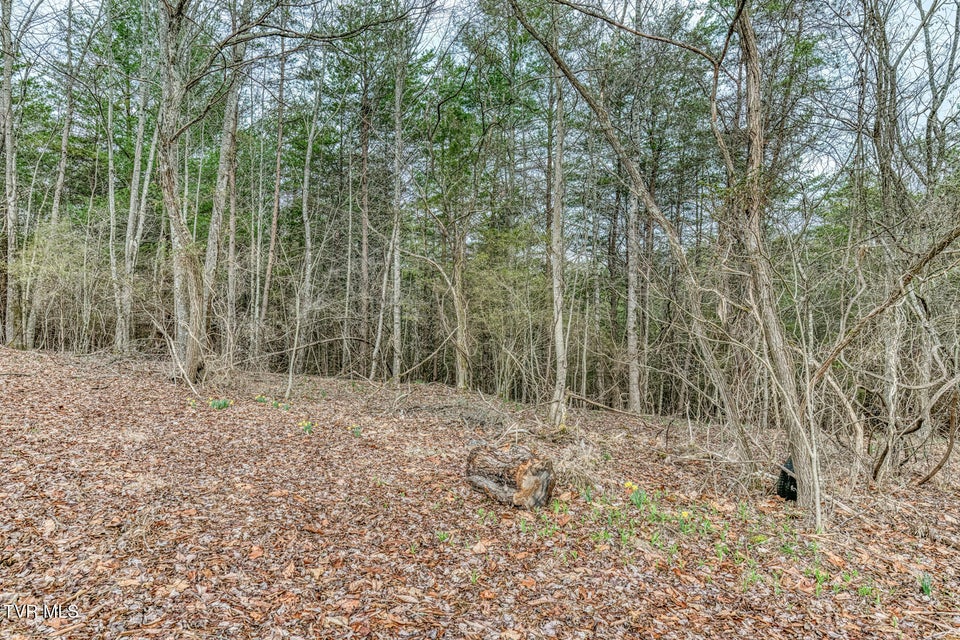 Photo #37: 105 Eastern Star Road