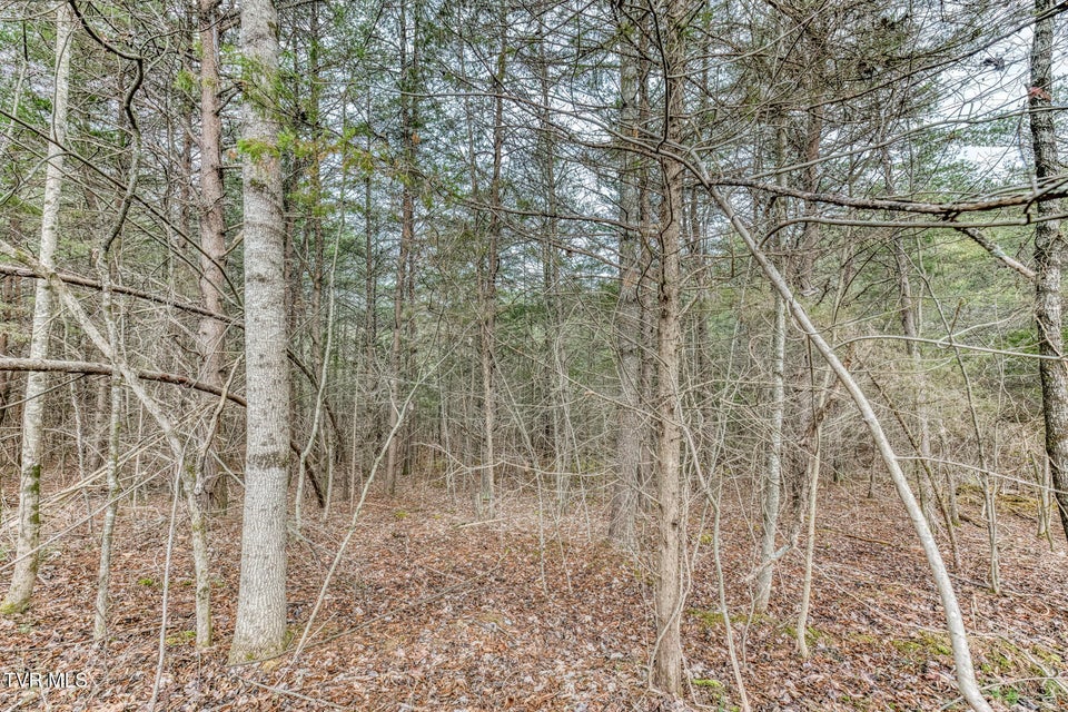 Photo #38: 105 Eastern Star Road