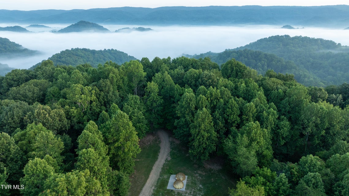 Photo #6: 310/Ac Tbd Ben Bloomer Road