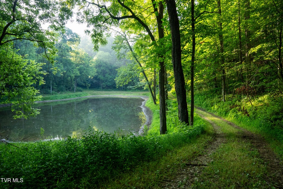 Photo #66: 310/Ac Tbd Ben Bloomer Road