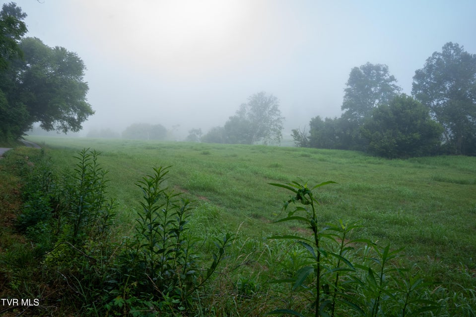 Photo #68: 310/Ac Tbd Ben Bloomer Road