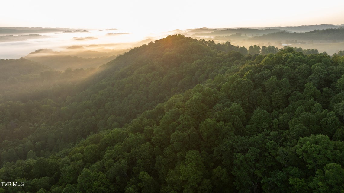 Photo #71: 310/Ac Tbd Ben Bloomer Road