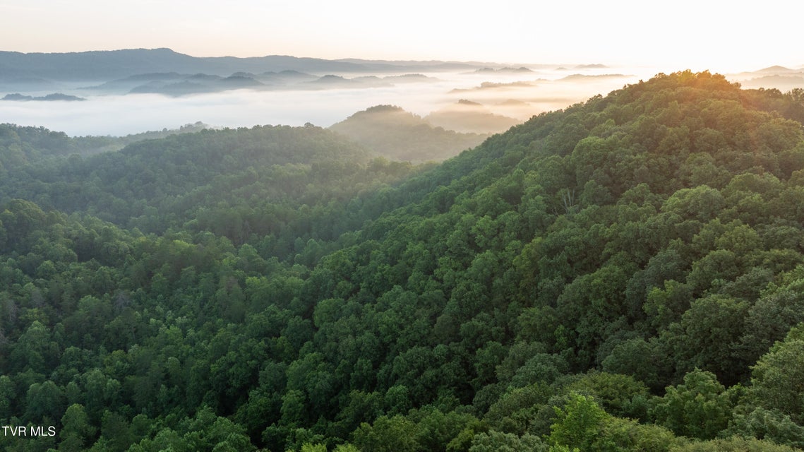 Photo #72: 310/Ac Tbd Ben Bloomer Road