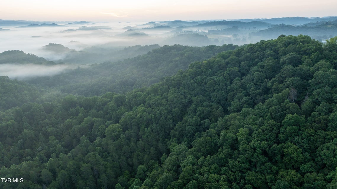 Photo #73: 310/Ac Tbd Ben Bloomer Road