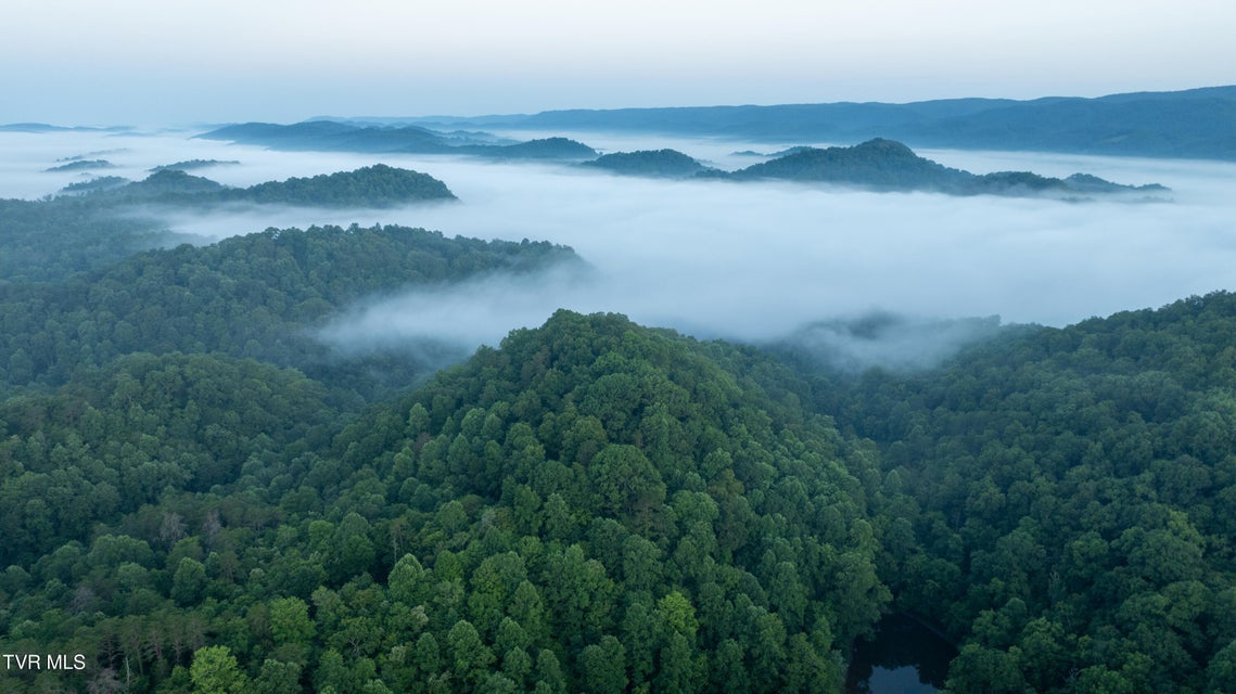 Photo #74: 310/Ac Tbd Ben Bloomer Road