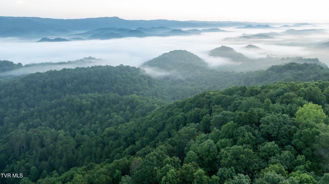 Photo #75: 310/Ac Tbd Ben Bloomer Road