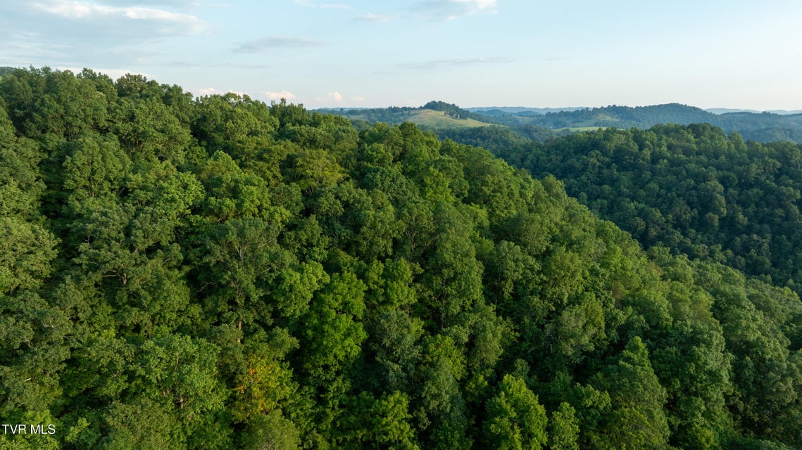 Photo #76: 310/Ac Tbd Ben Bloomer Road