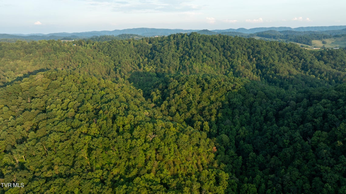 Photo #77: 310/Ac Tbd Ben Bloomer Road