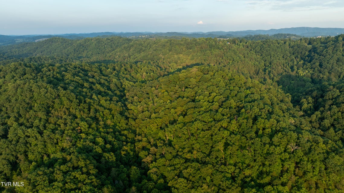 Photo #79: 310/Ac Tbd Ben Bloomer Road