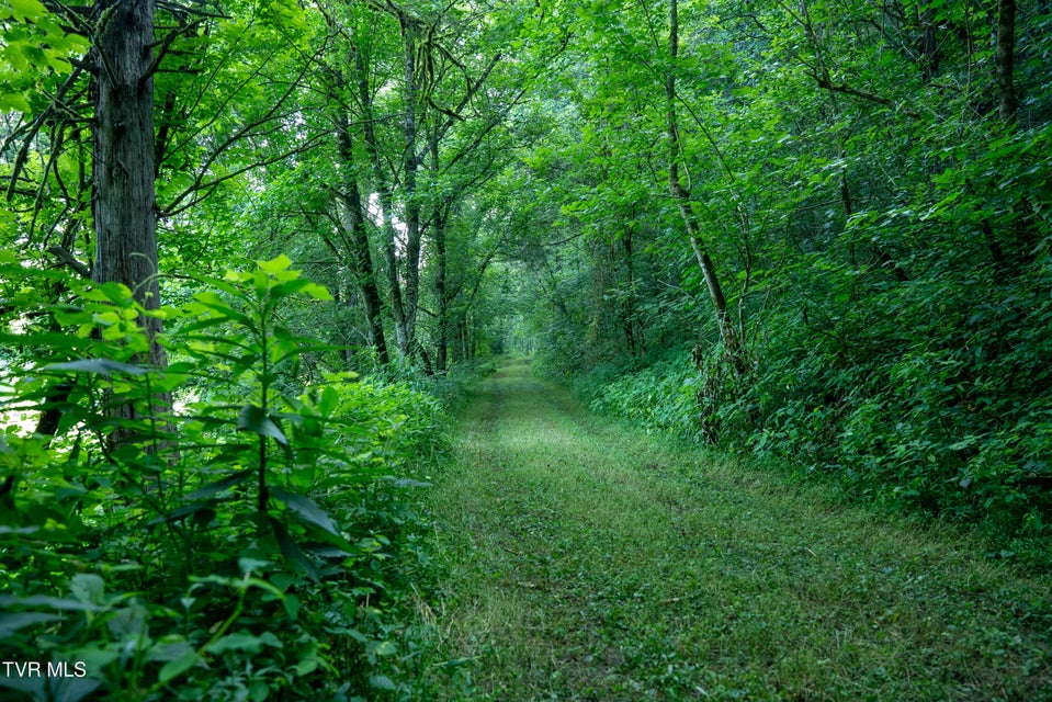 Photo #3: 1335 Ben Bloomer Road