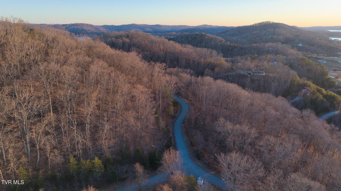 Photo #2: Lot 339 Eagle Court