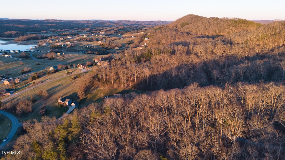 Photo #7: Lot 339 Eagle Court