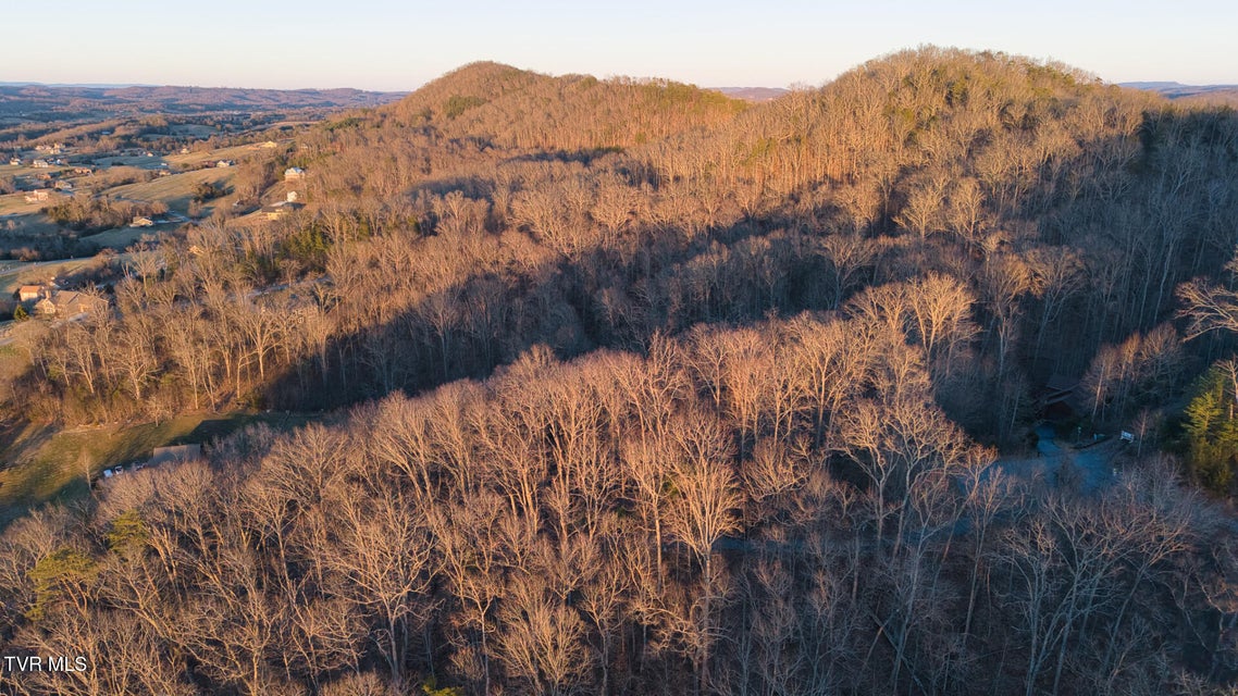 Photo #8: Lot 339 Eagle Court