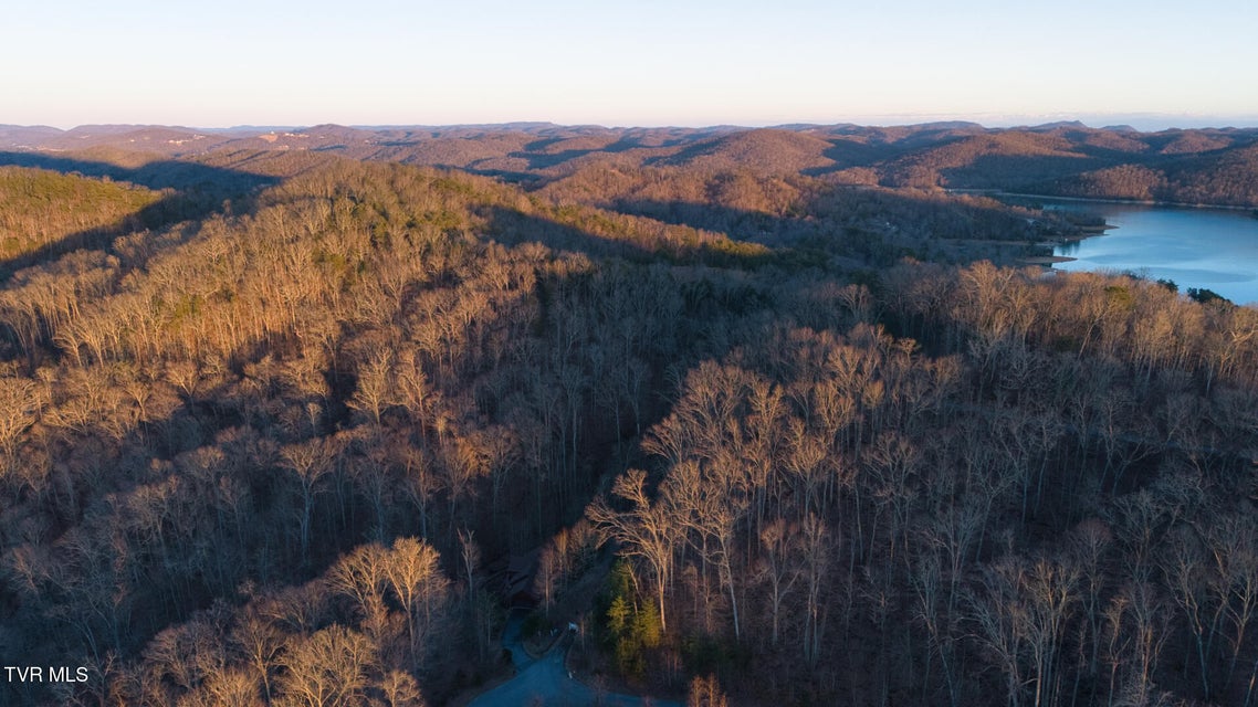 Photo #9: Lot 339 Eagle Court