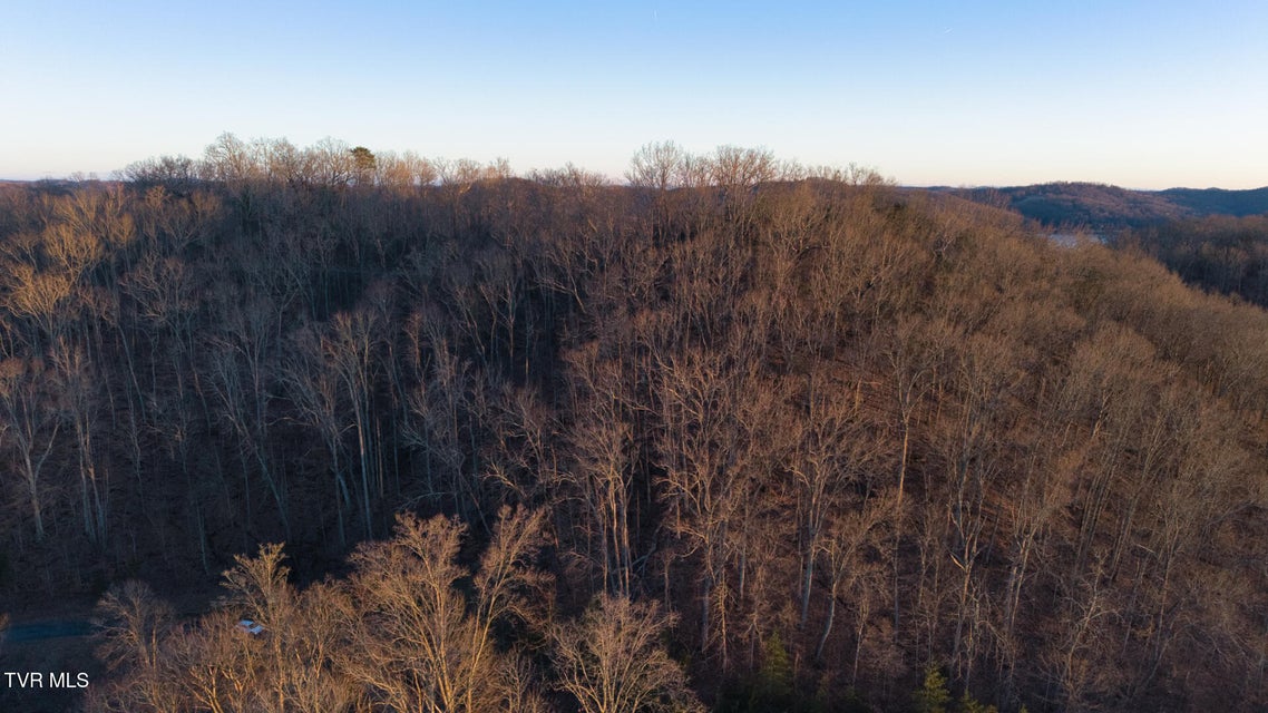 Photo #10: Lot 339 Eagle Court