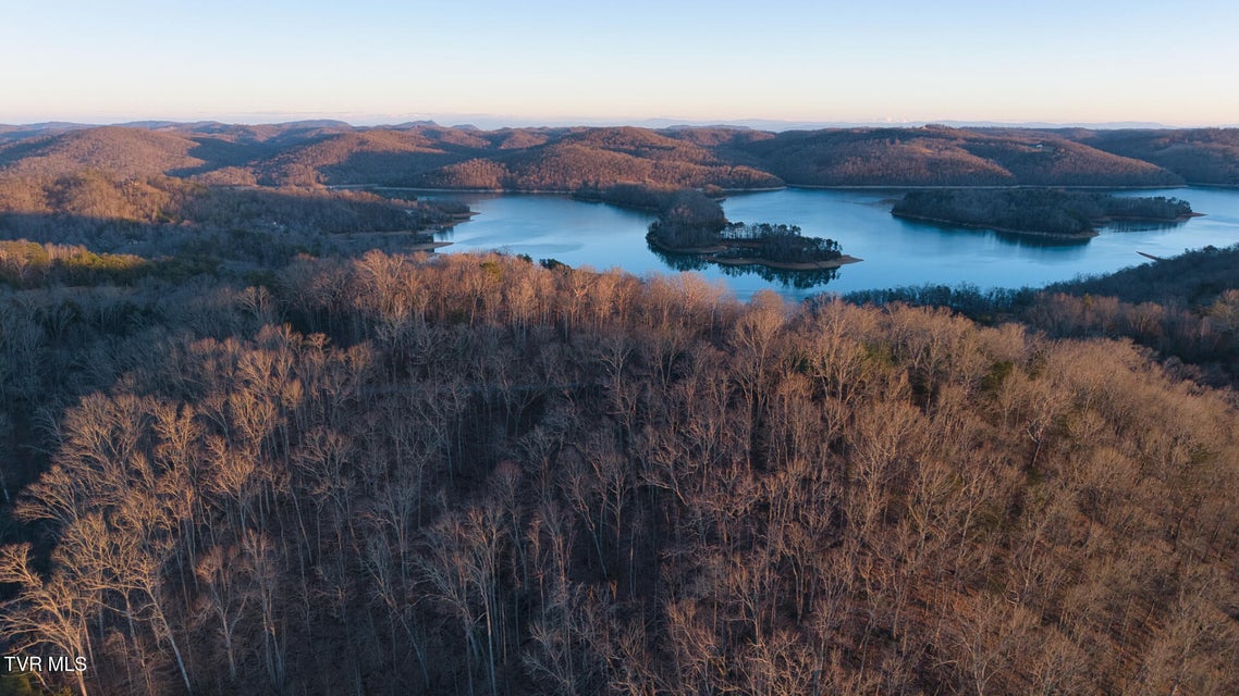 Photo #11: Lot 339 Eagle Court