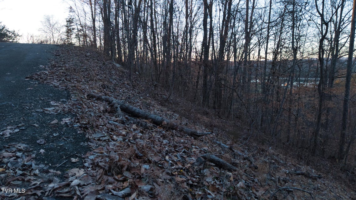 Photo #13: Lot 339 Eagle Court