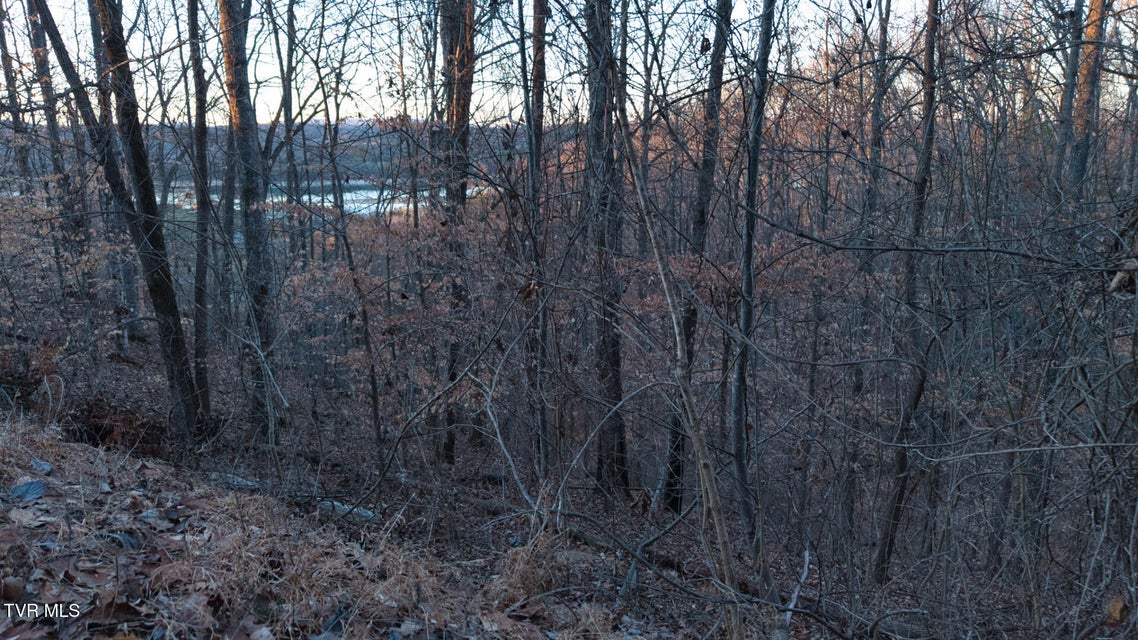 Photo #14: Lot 339 Eagle Court