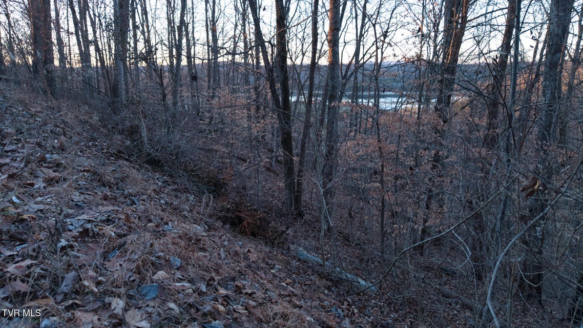 Photo #15: Lot 339 Eagle Court