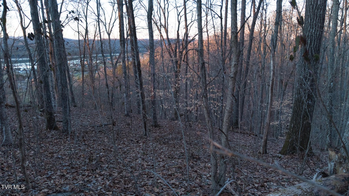 Photo #16: Lot 339 Eagle Court