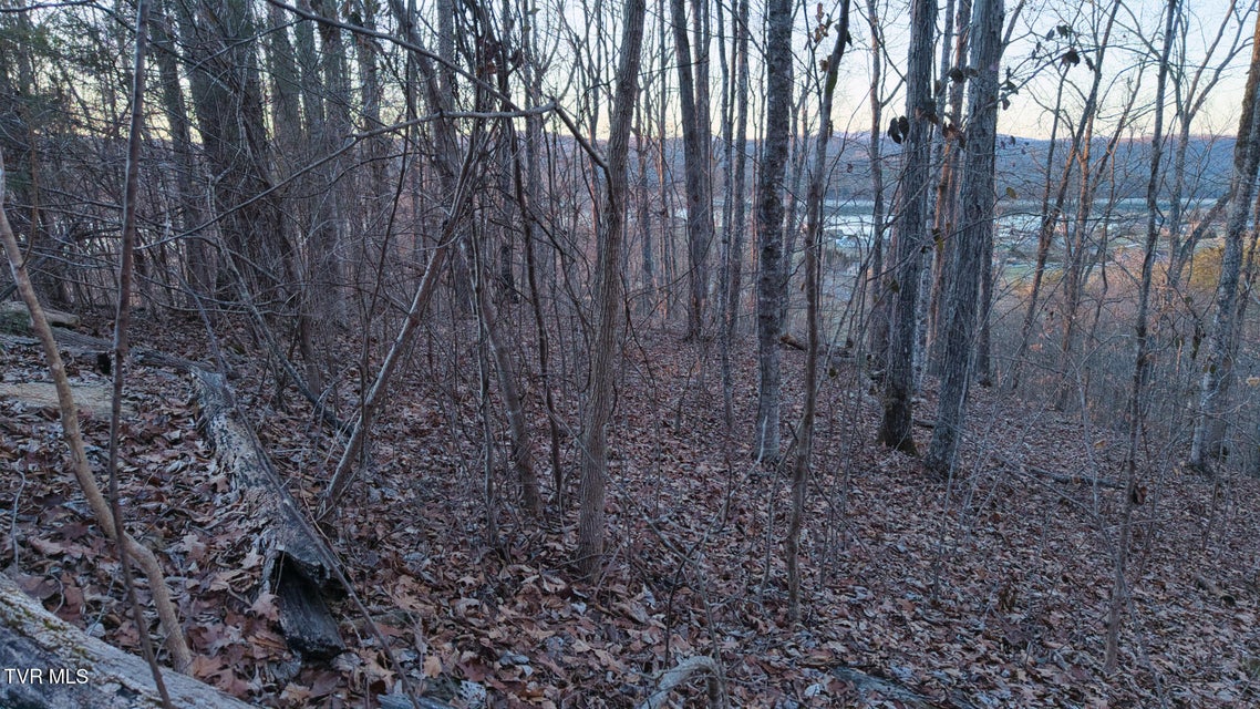 Photo #17: Lot 339 Eagle Court