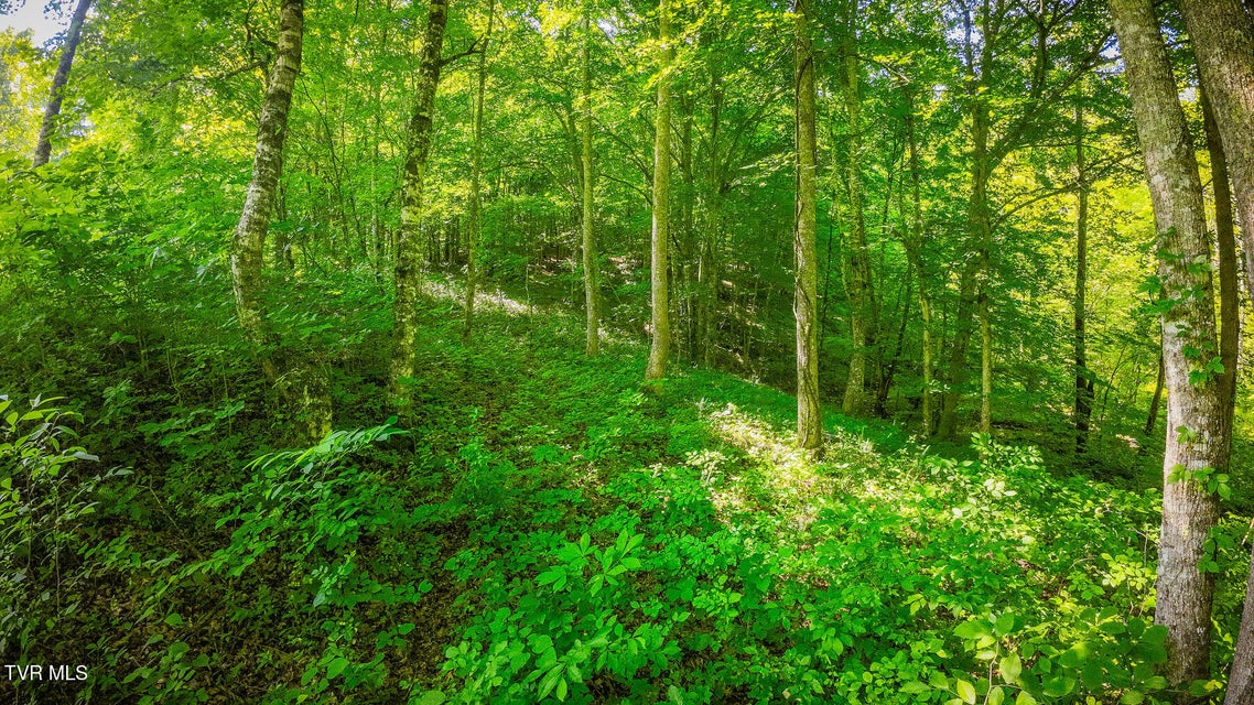 Photo #7: Tbd Eb Hollow Road