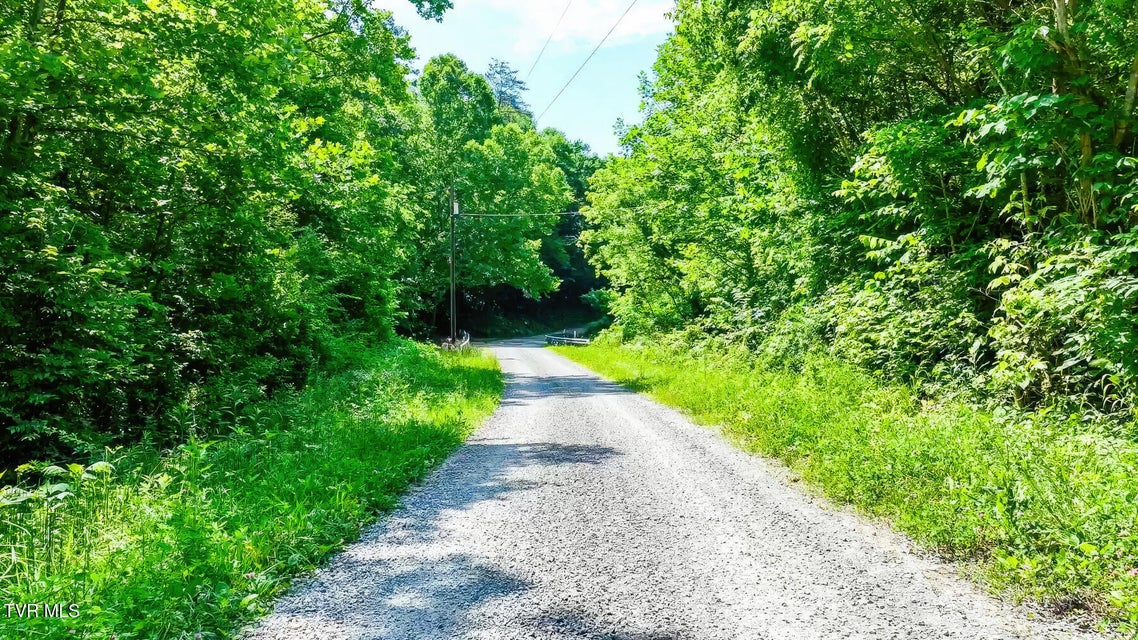 Photo #10: Tbd Eb Hollow Road