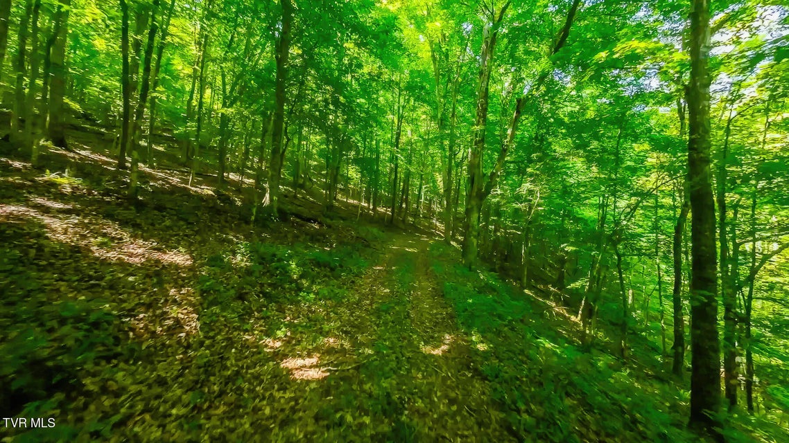 Photo #11: Tbd Eb Hollow Road